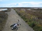 Sendero en el Parque Natural Bahía de Cádiz, ruta natural para disfrutar en San Fernando