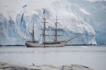 Visitar la Antártida, una aventura para disfrutar del séptimo continente
