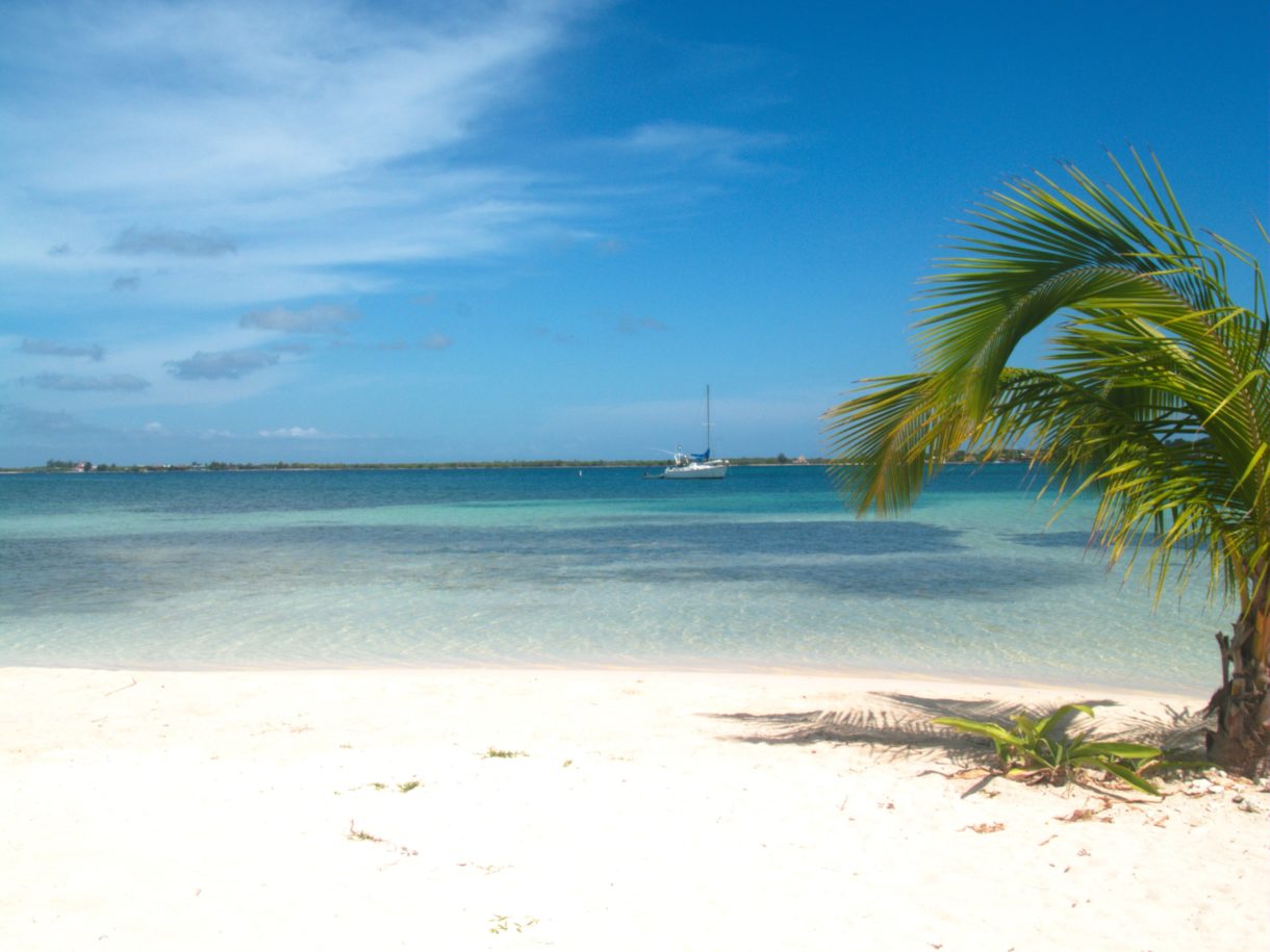 Utila, un lugar único para bucear en Honduras