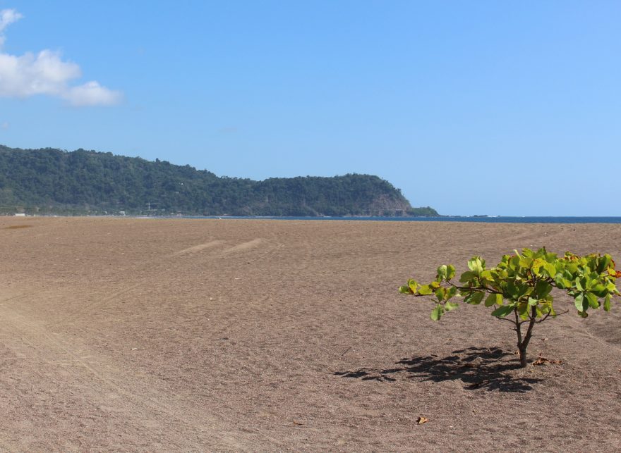 Costa Rica buscará playas accesibles para disfrute de los turistas