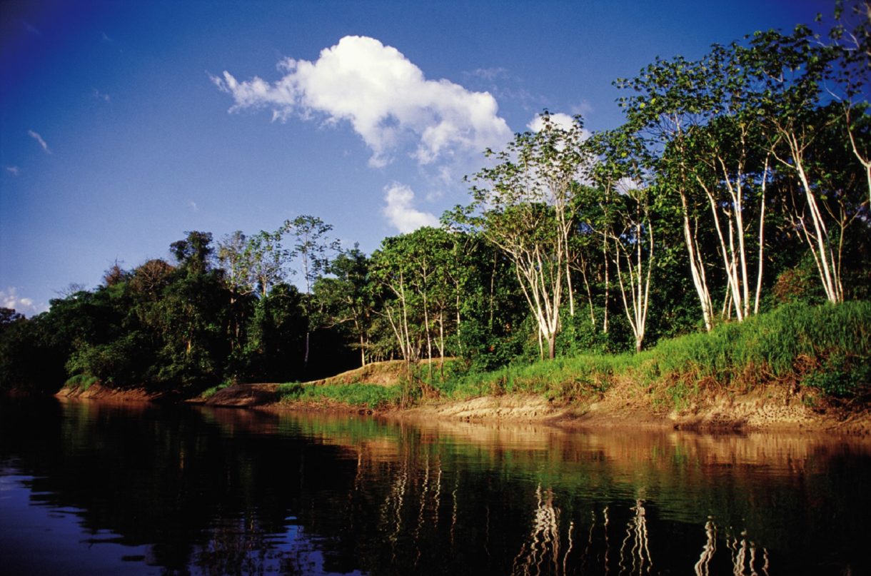 Consejos para hacer un crucero por el Amazonas, una aventuras apasionante