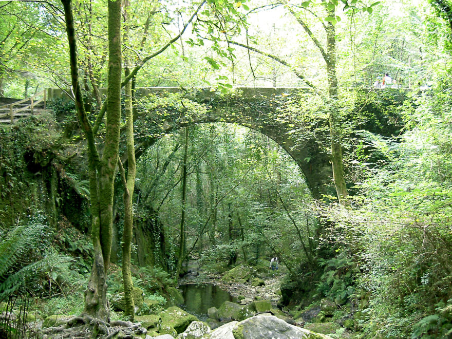 Conoce Fragas do Eume, un hermoso rincón natural de Galicia lleno de leyendas