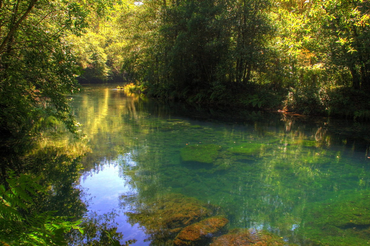 Conoce Fragas do Eume, un hermoso rincón natural de Galicia lleno de leyendas