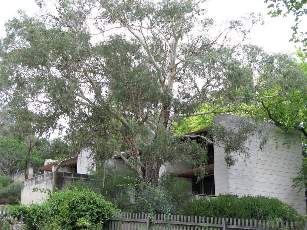 El Museo de Arte Moderno Heide, uno de los museos destacados en Melbourne