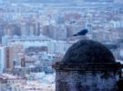 5 escapadas de un día desde Málaga