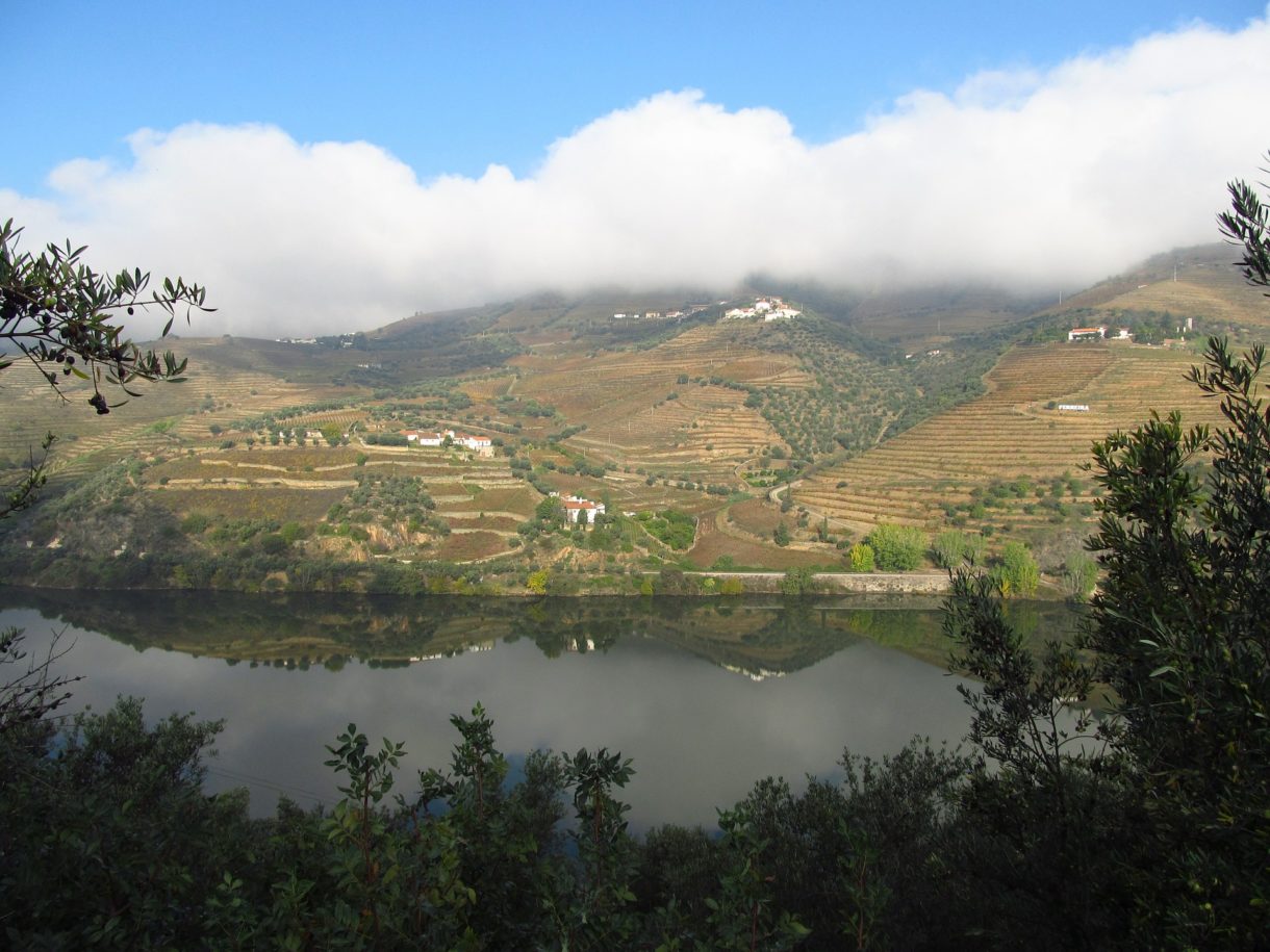 Conoce el Six Senses Douro Valley, el mejor resort Europeo de 2019