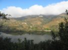 Conoce el Six Senses Douro Valley, el mejor resort Europeo de 2019