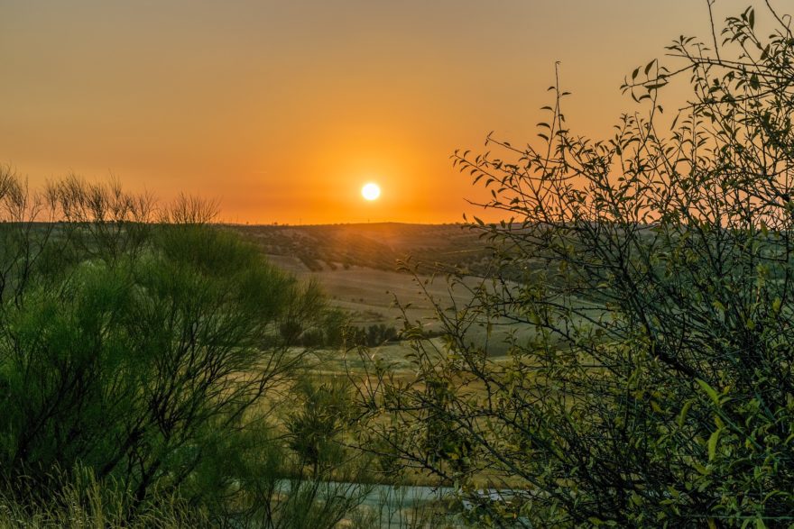 Conoce la Ruta del Vino de La Mancha, un nuevo atractivo turístico