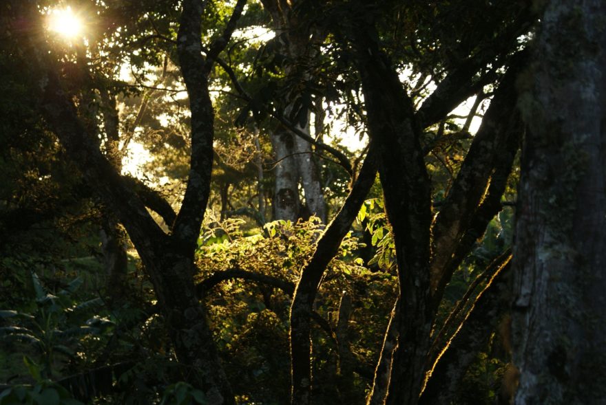 Ecoturismo para disfrutar con los encantos naturales de Colombia