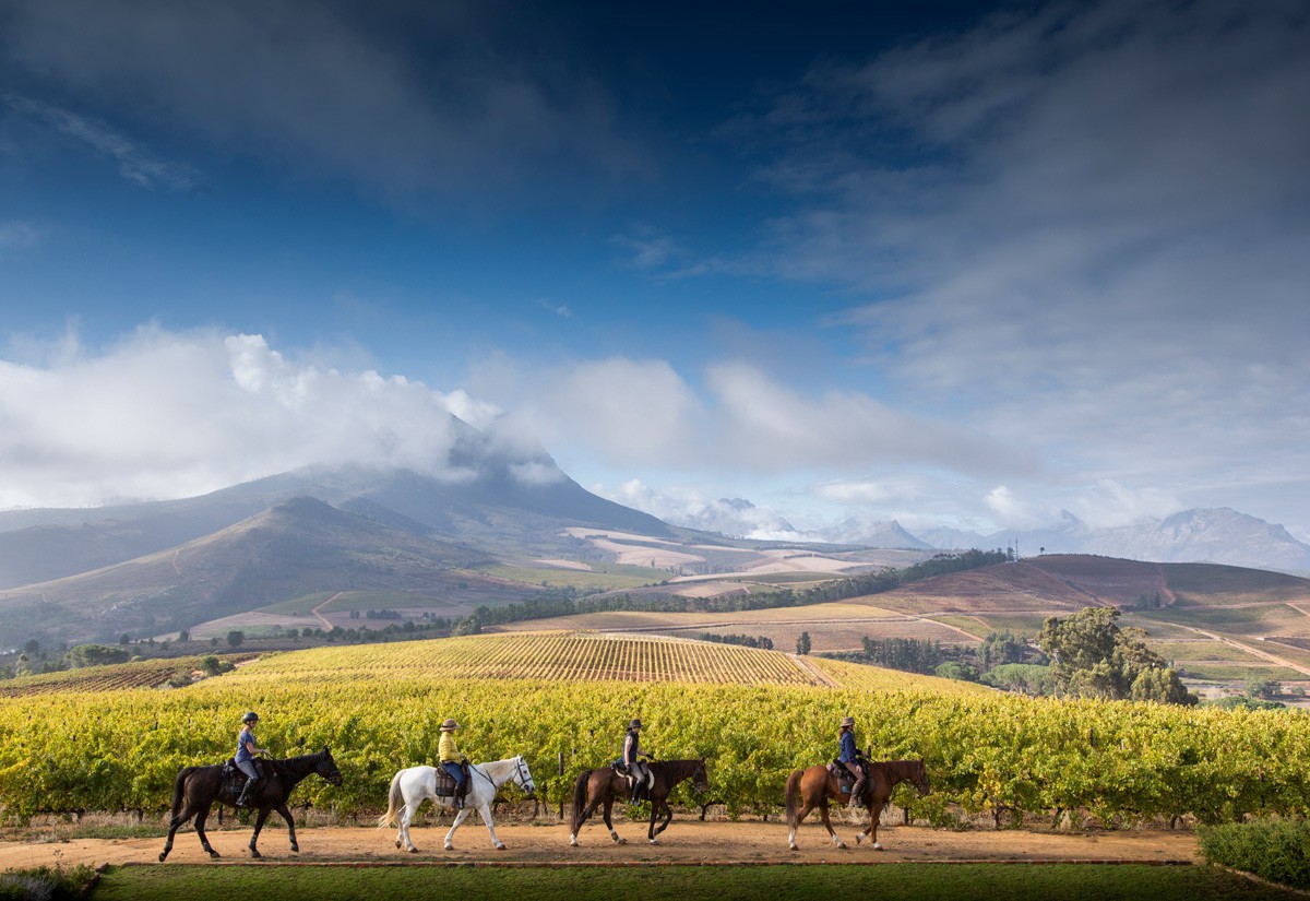 Turismo a caballo en Sudáfrica, una manera diferente de conocer el país