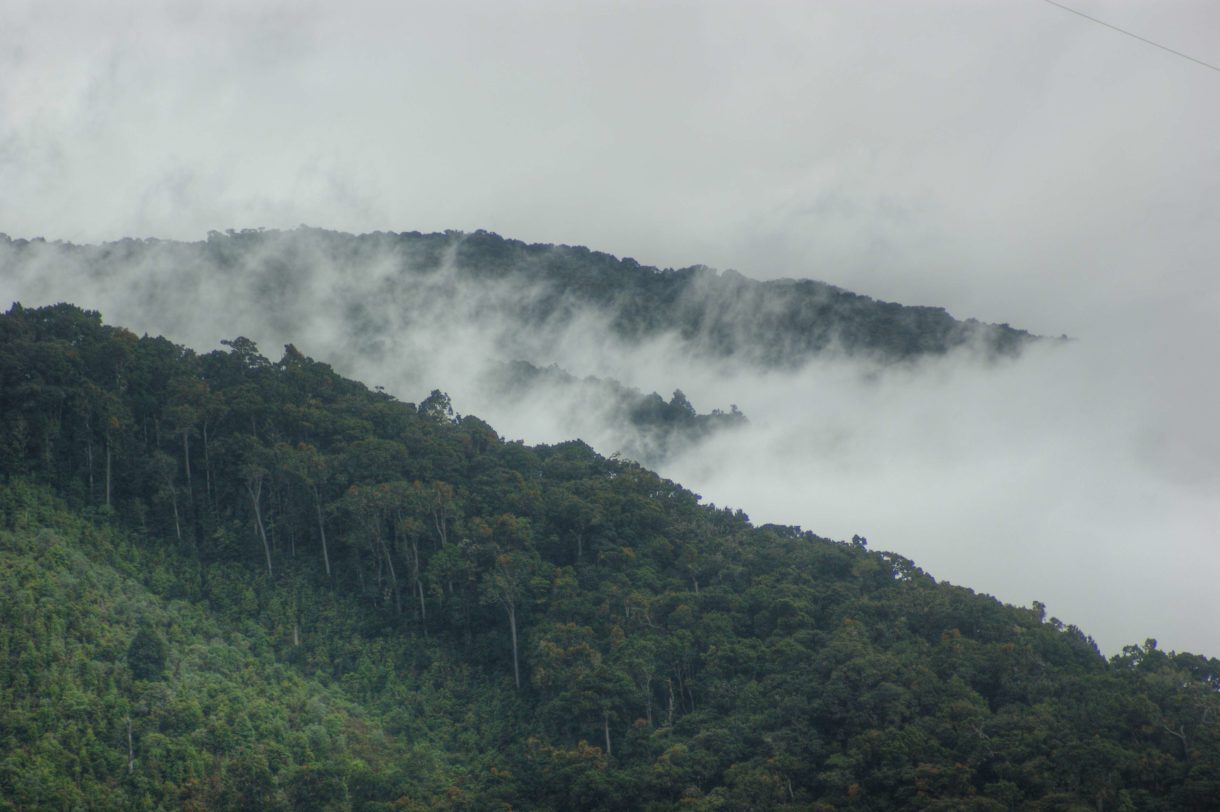 Descubre los lugares encantadores de San Gerardo de Dota