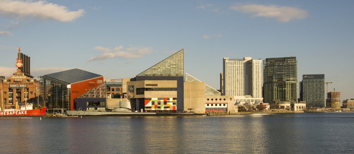 El Acuario Nacional de Baltimore, una visita para toda la familia