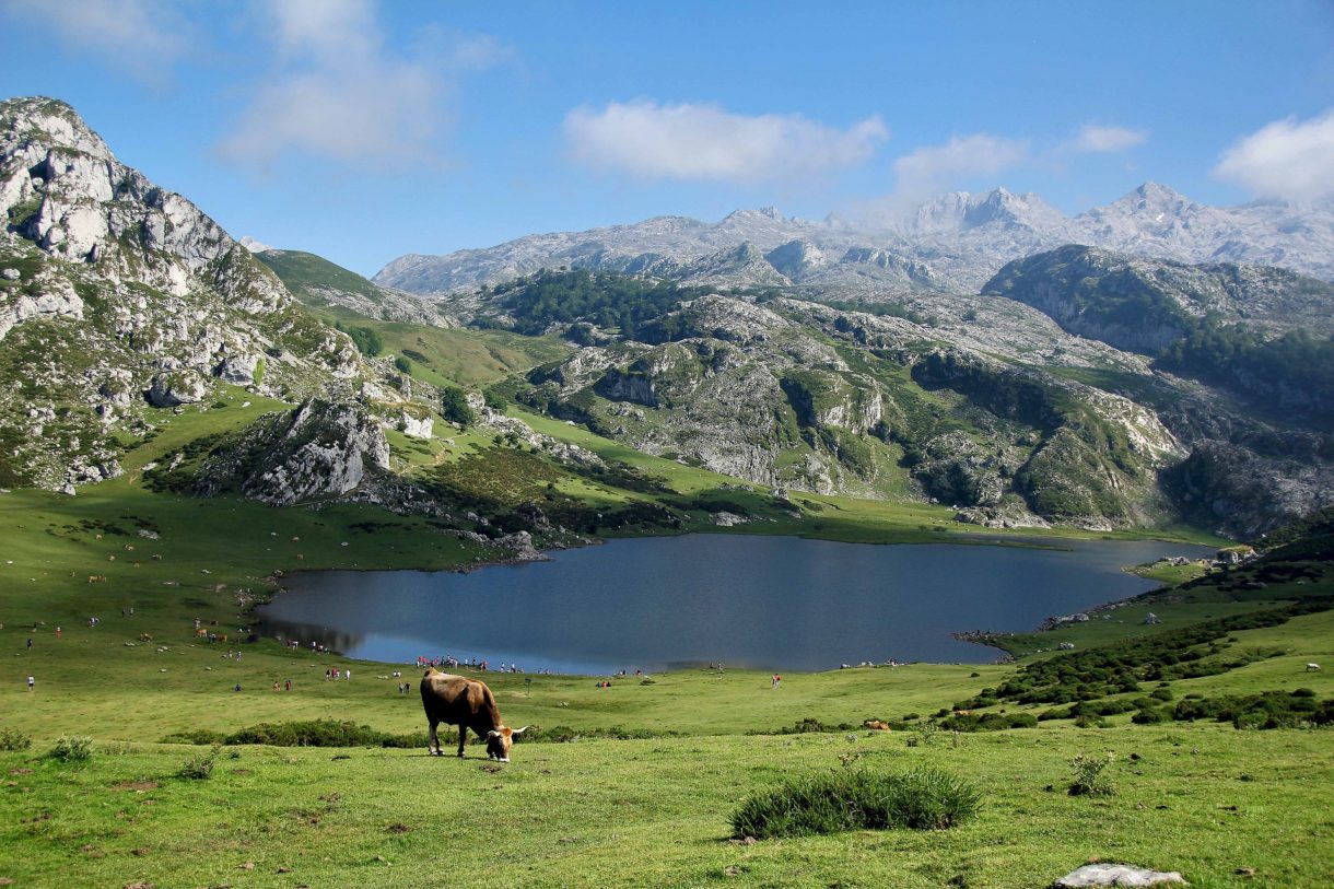 Las nuevas Rutas Temáticas para viajar en tren por Asturias