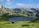 Las nuevas Rutas Temáticas para viajar en tren por Asturias