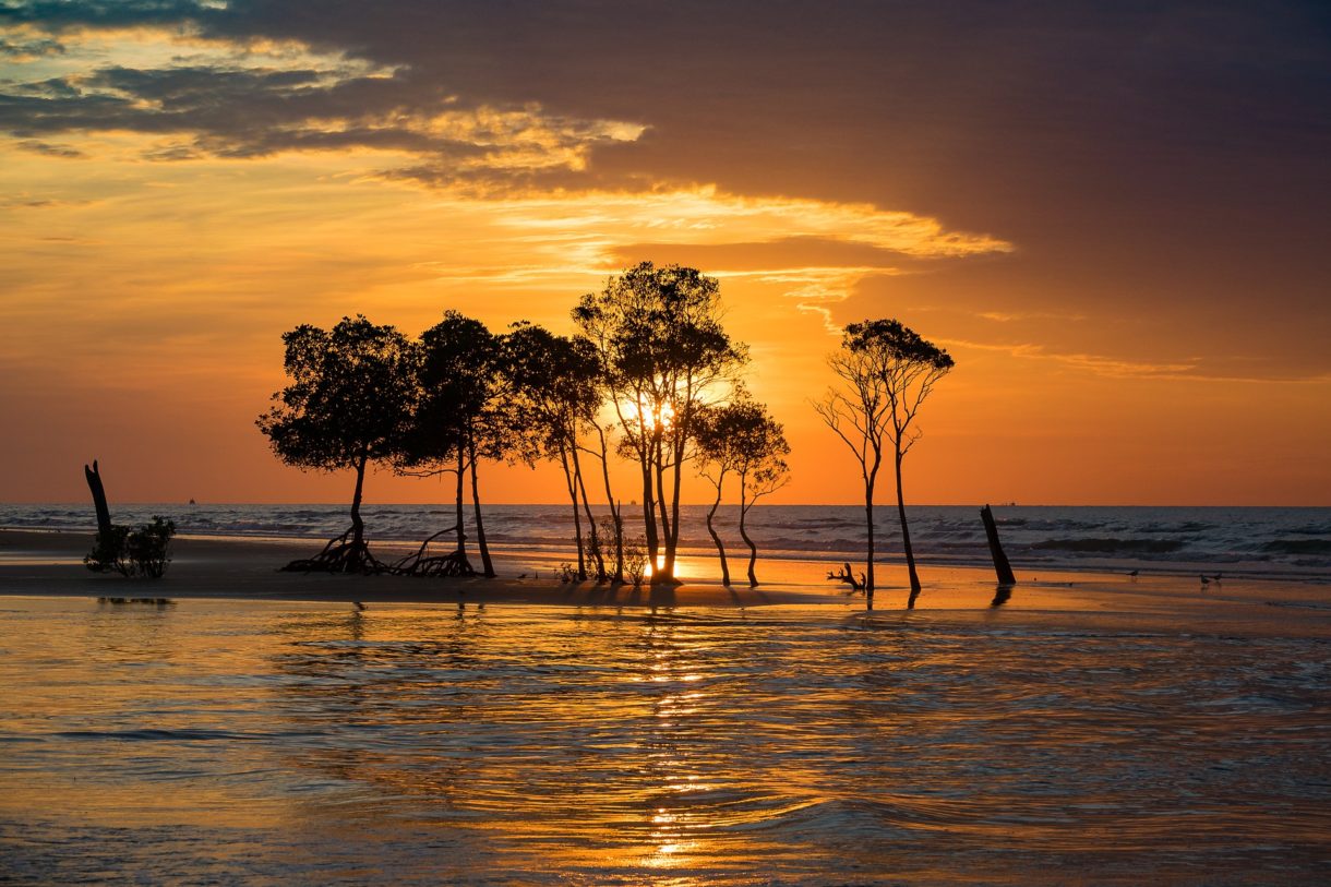 Qué hacer en Darwin, un destino de aventura en Australia