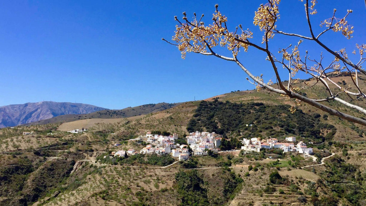 Polopos, un pueblo de Granada que triunfa entre los holandeses