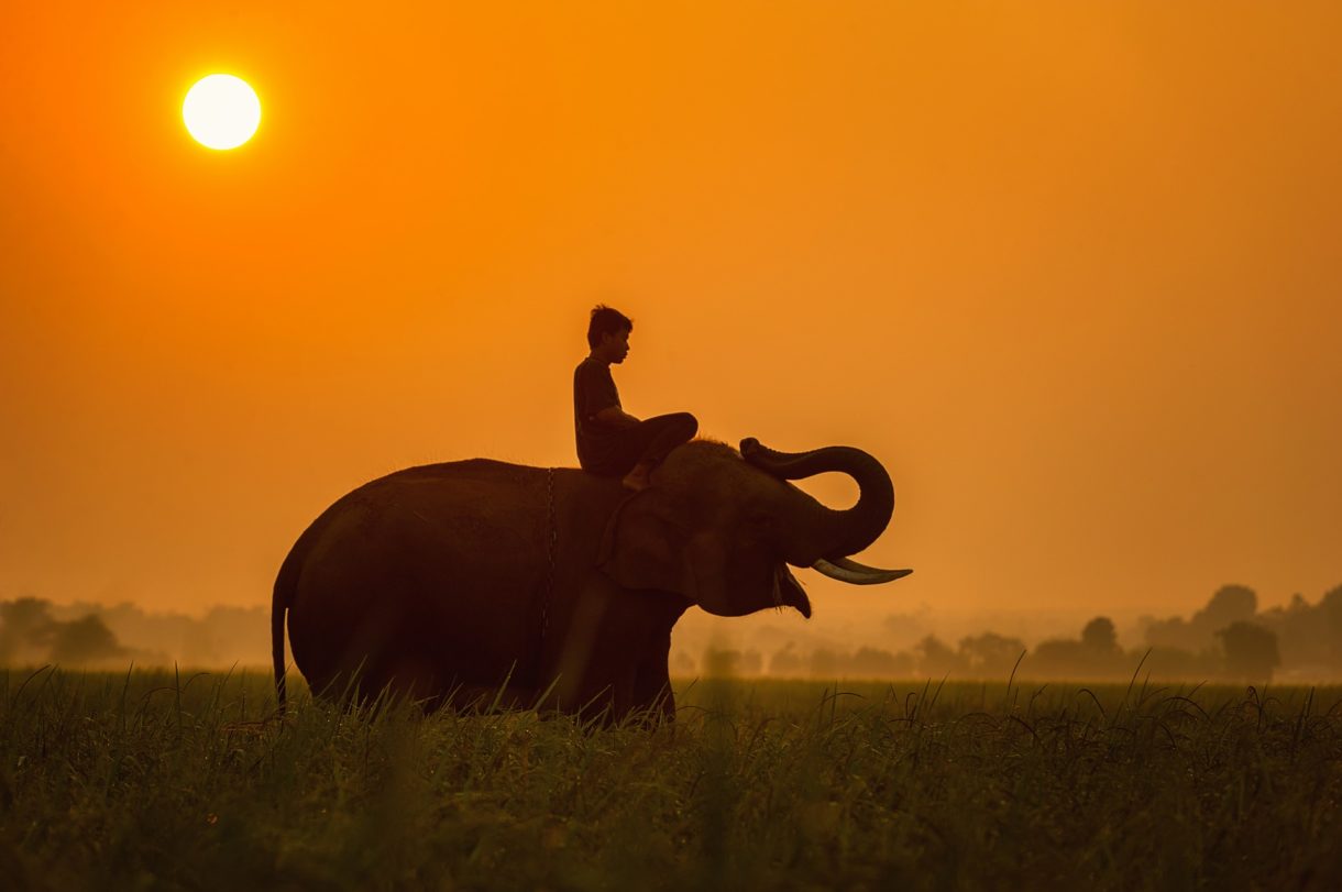 Excursiones para conocer Camboya en vacaciones