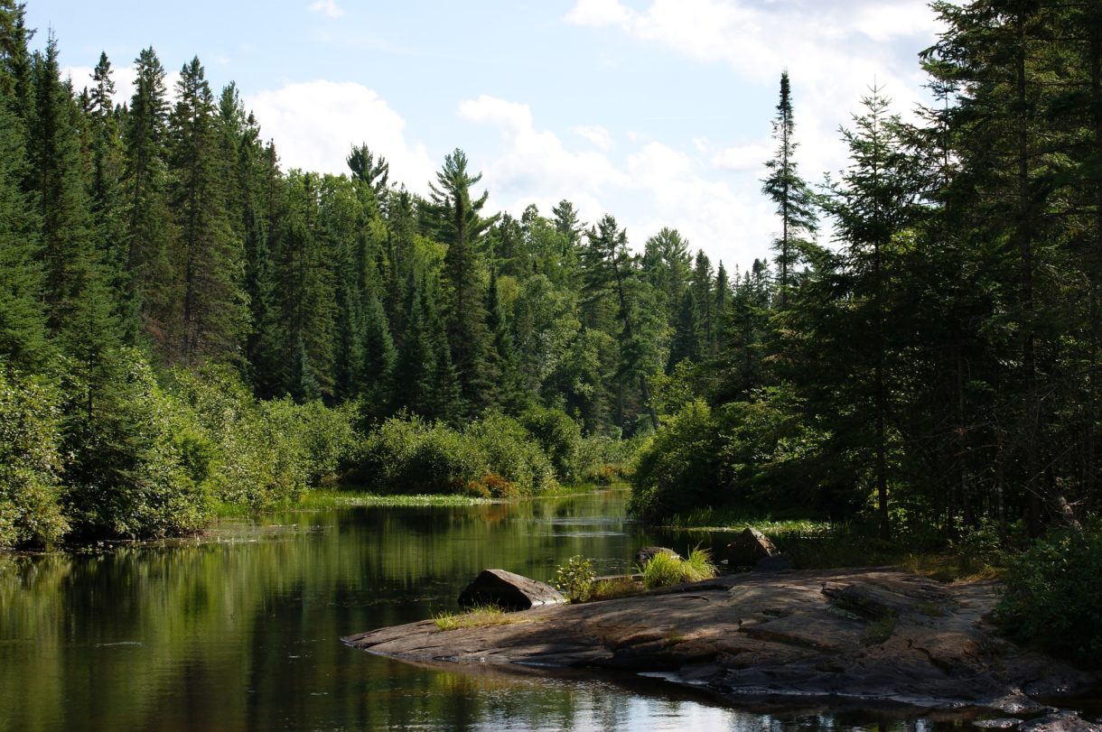 Parques Nacionales en Ontario para disfrutar en vacaciones