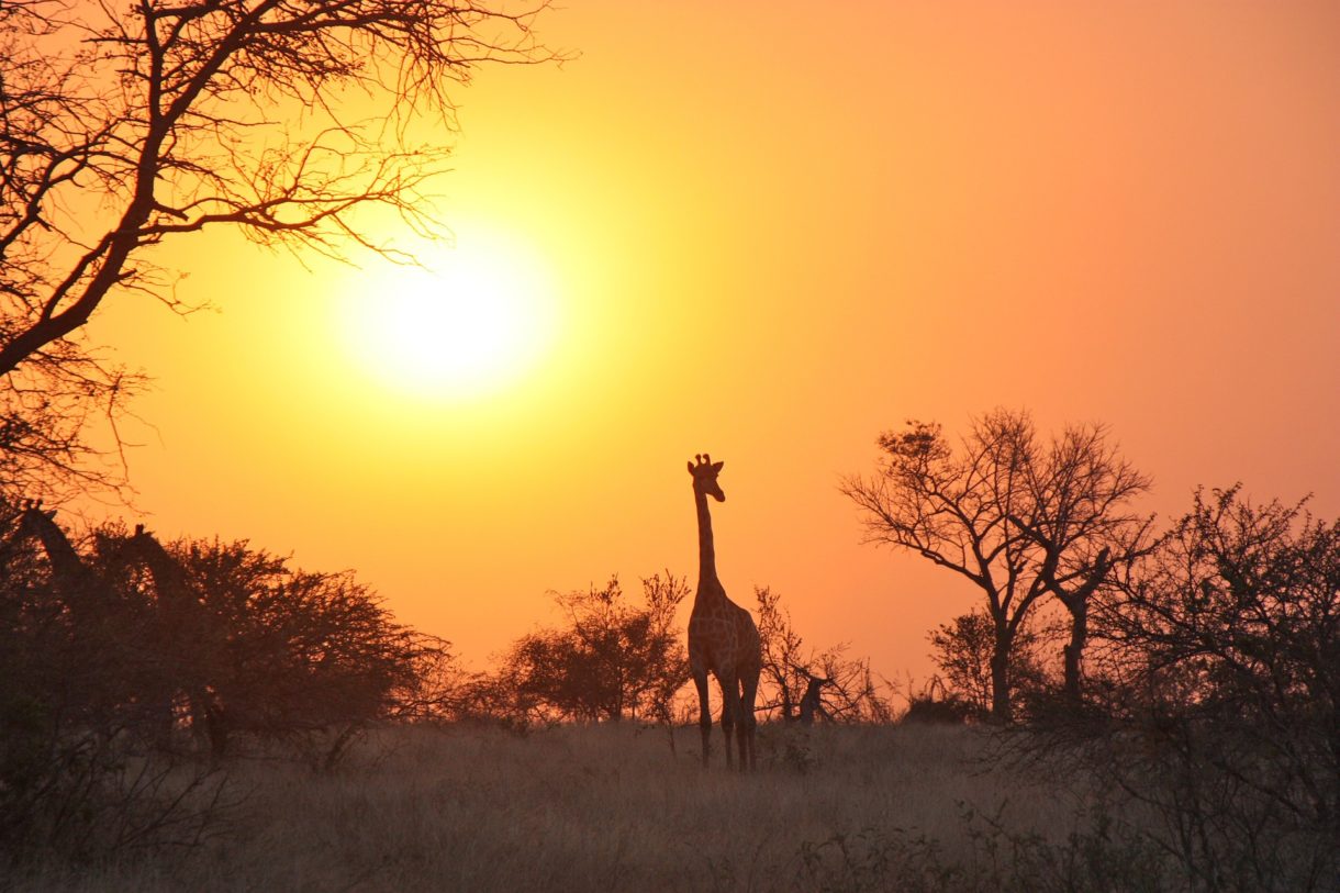 Zambia, un destino africano que te sorprenderá