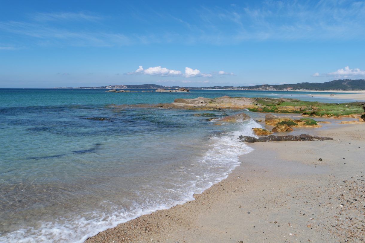 Las nuevas rutas ornitológicas en las Rías Baixas