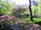 Gramercy Park, el parque secreto de Nueva York que todos quieren ver