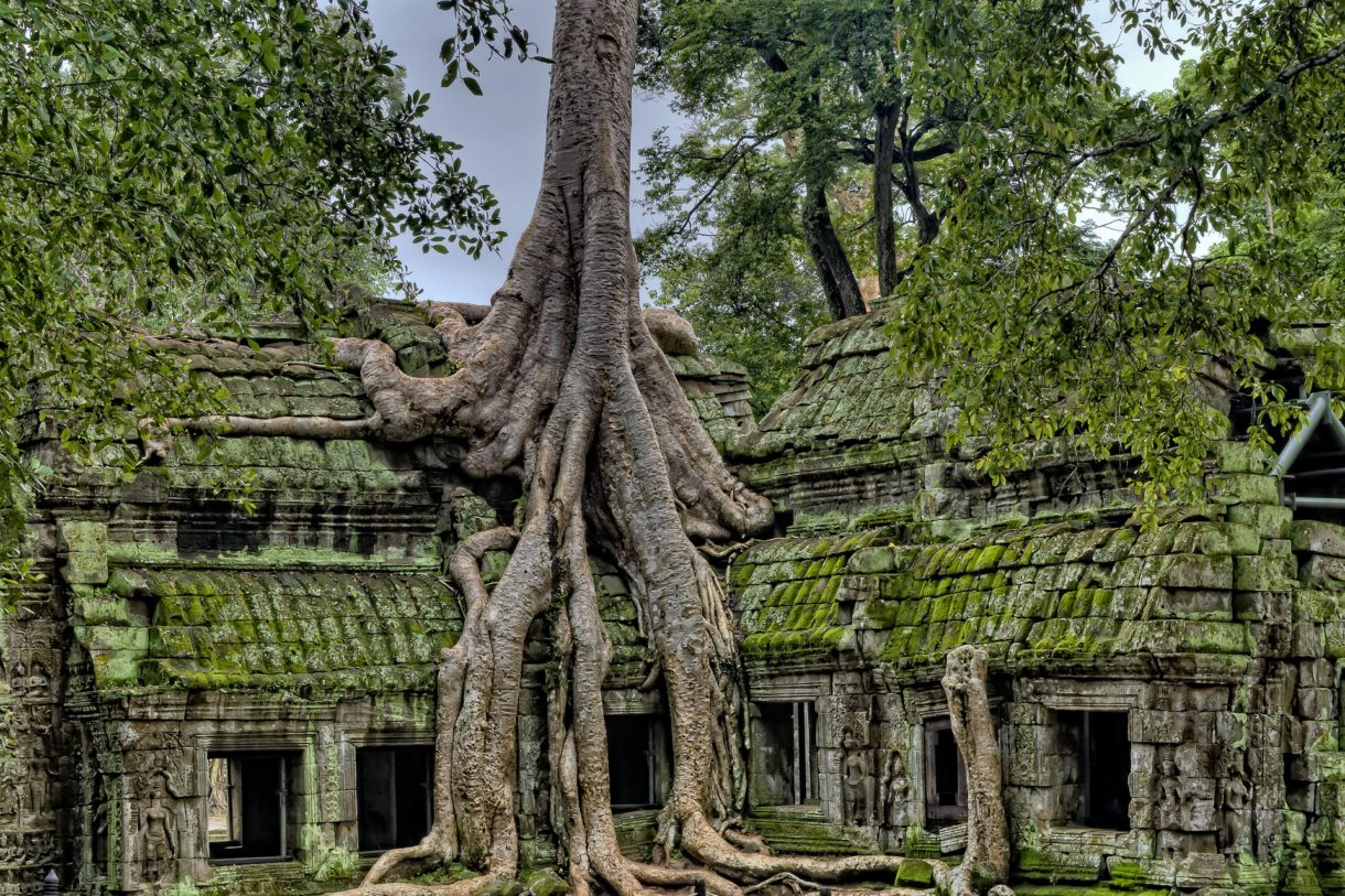 Sitios históricos que han sido reclamados por la naturaleza