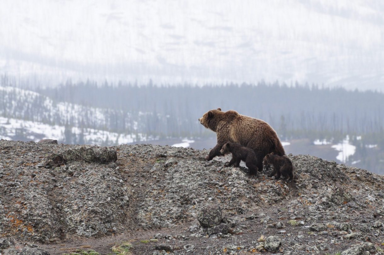 Alaska, un destino espectacular en Estados Unidos