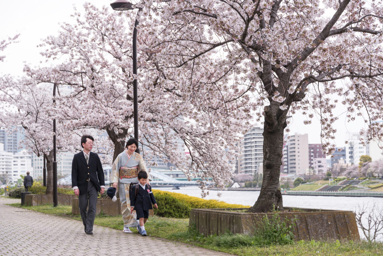 Los parques de cerezos en flor de Tokio en primavera