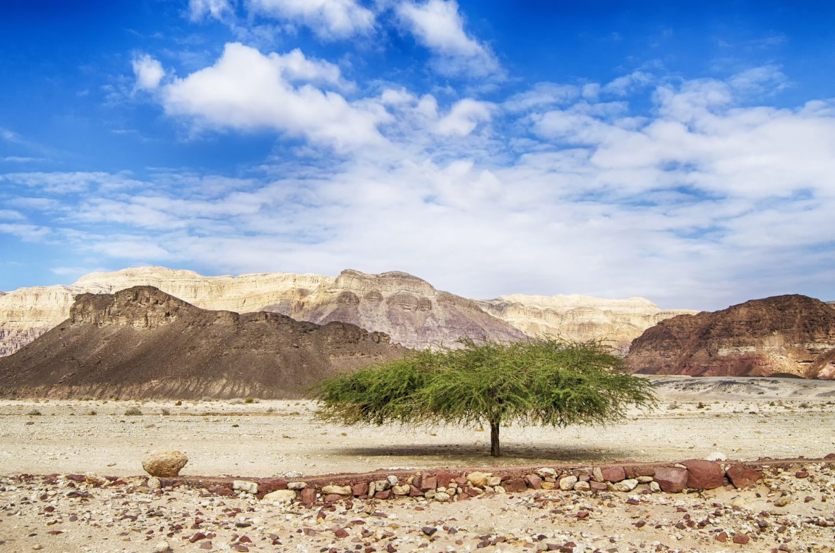 Six Senses te invita a alojarte en el desierto de Israel