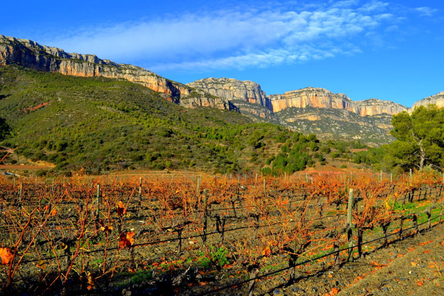 El Priorat es una comarca catalana famosa por sus vinos