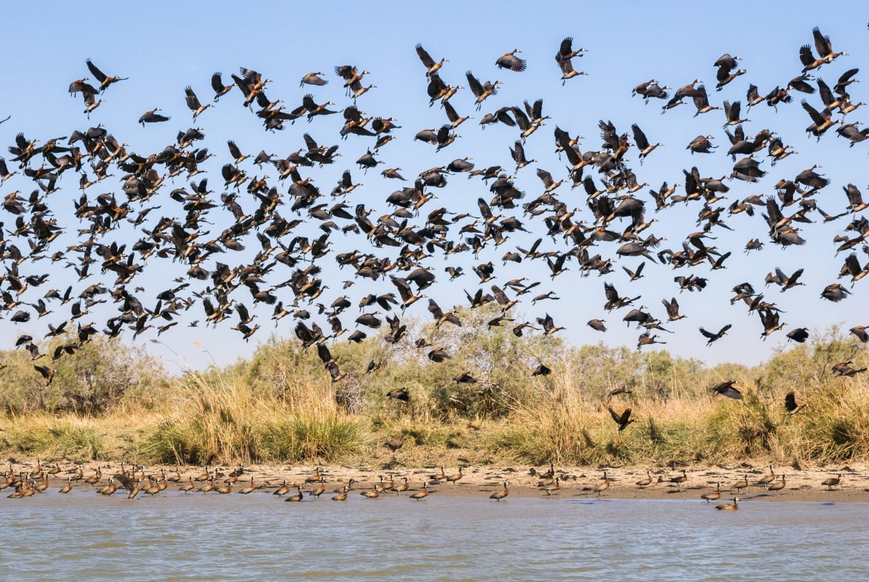 Viaje de aventura por Senegal