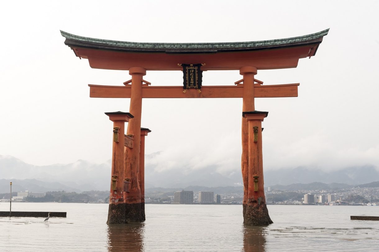 Gastronomía de otoño de Japón, delicias para disfrutar en esta época del año