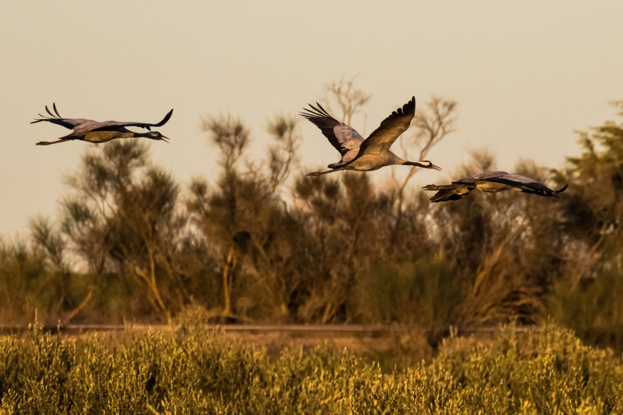 Las mejores propuestas para disfrutar del otoño en Extremadura