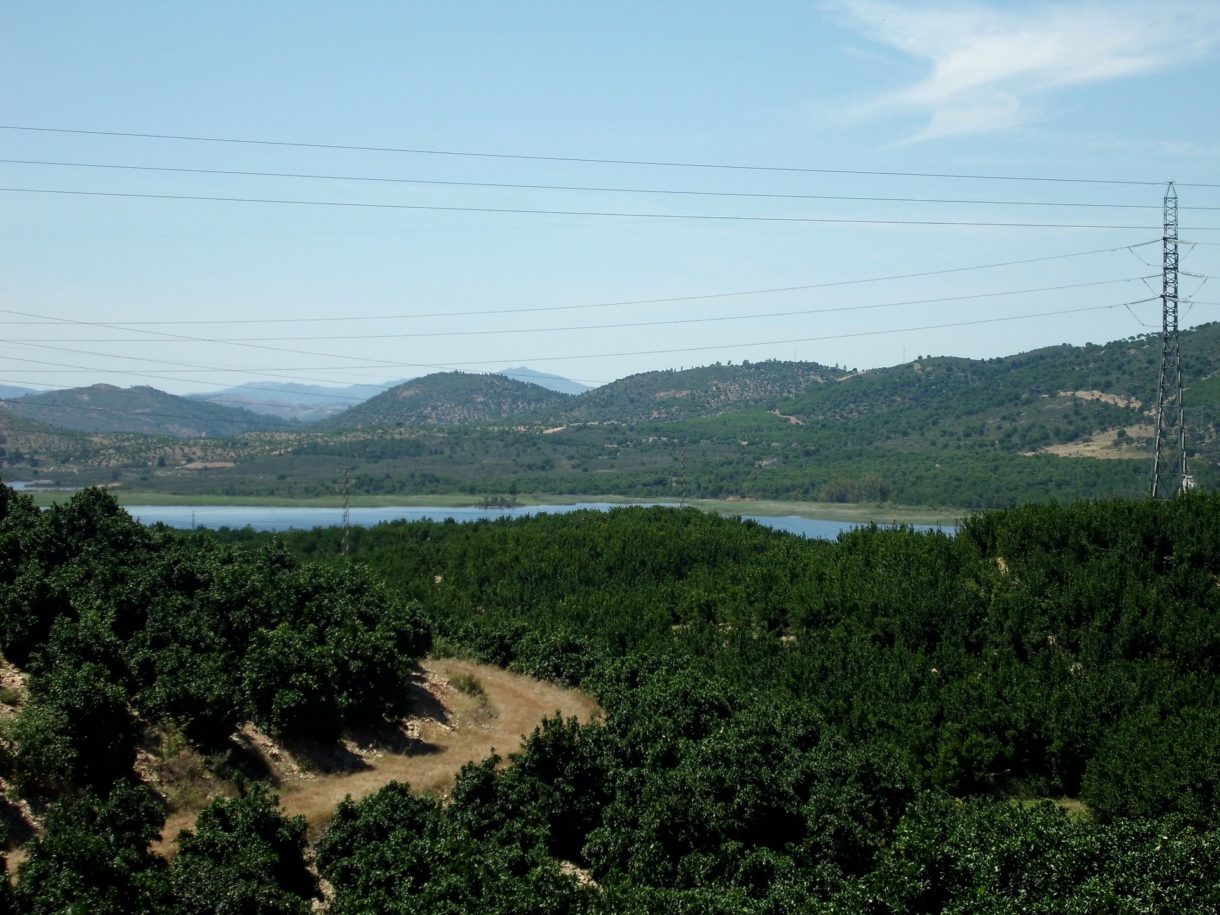 Huelva en ruta, opciones para disfrutar del senderismo y cicloturismo en Andalucía