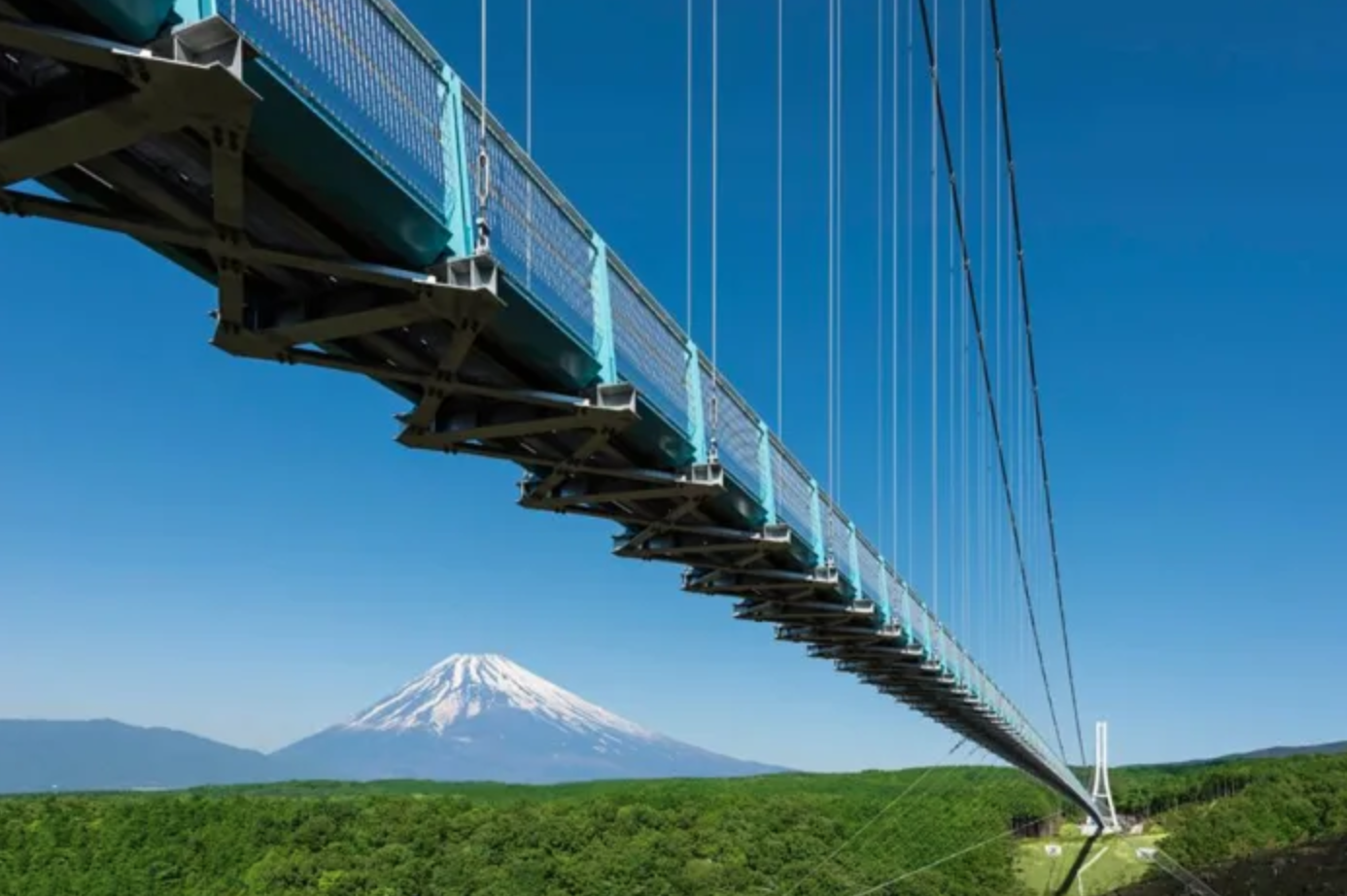 Puente Suspendido Japon