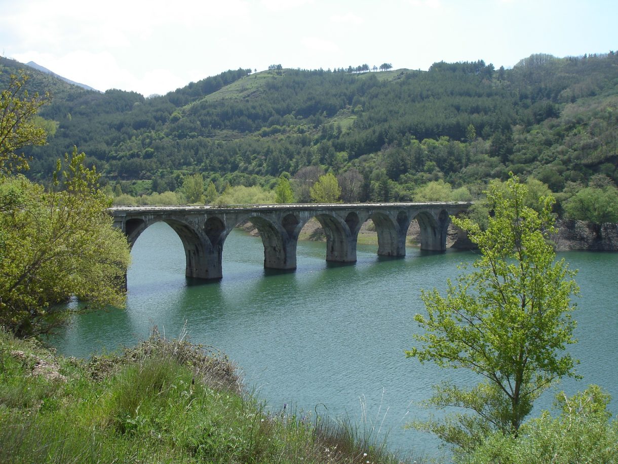 El Trufiturismo en Castilla y León como atractivo para el turismo