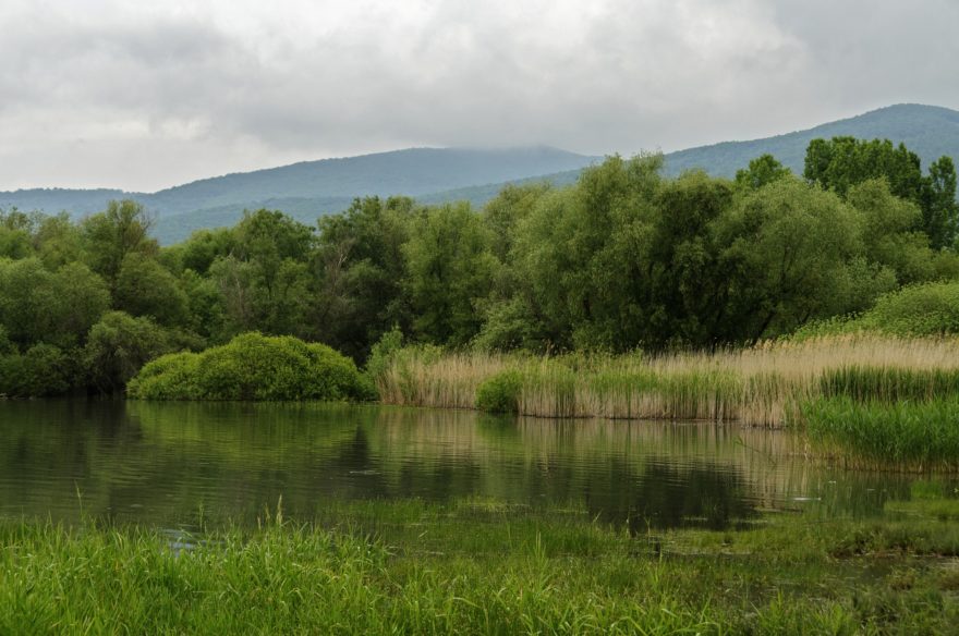 Markaz Reservoir 