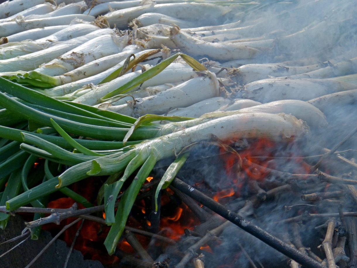 Gastronomía catalana: la tradición «dels calçots»