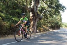 Nueve rutas ciclistas en Castellón para hacer en primavera