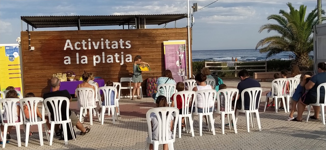 Actividades Playa Castellon