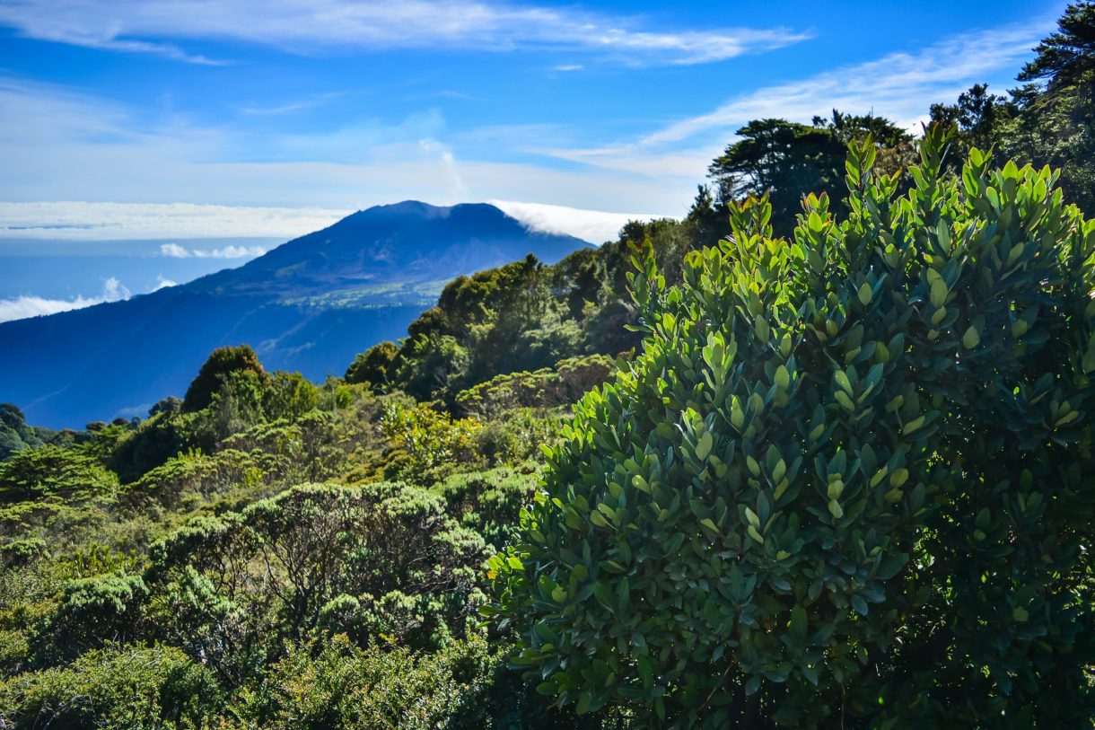 El objetivo de Costa Rica en Fitur 2021