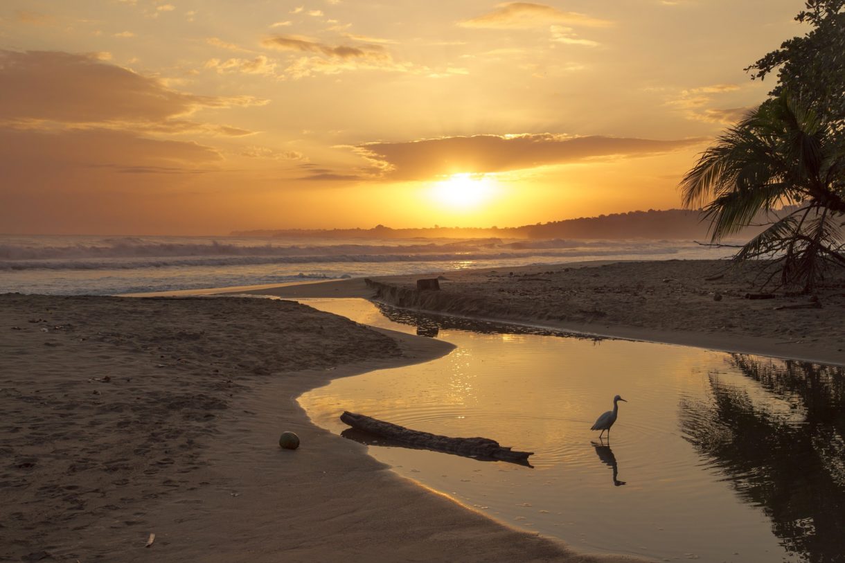 Las mejores playas para conocer en Costa Rica