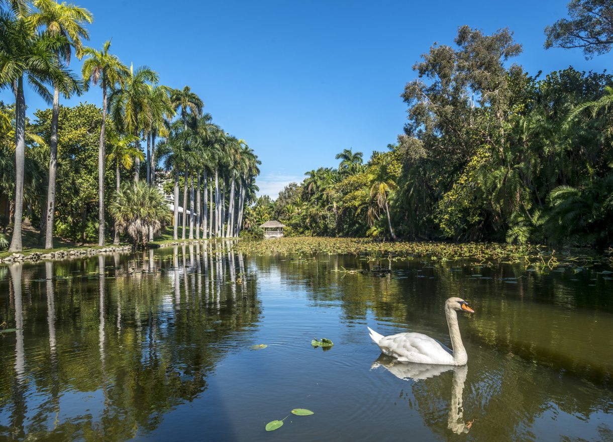 Conoce Fort Lauderdale, la Venecia de Estados Unidos