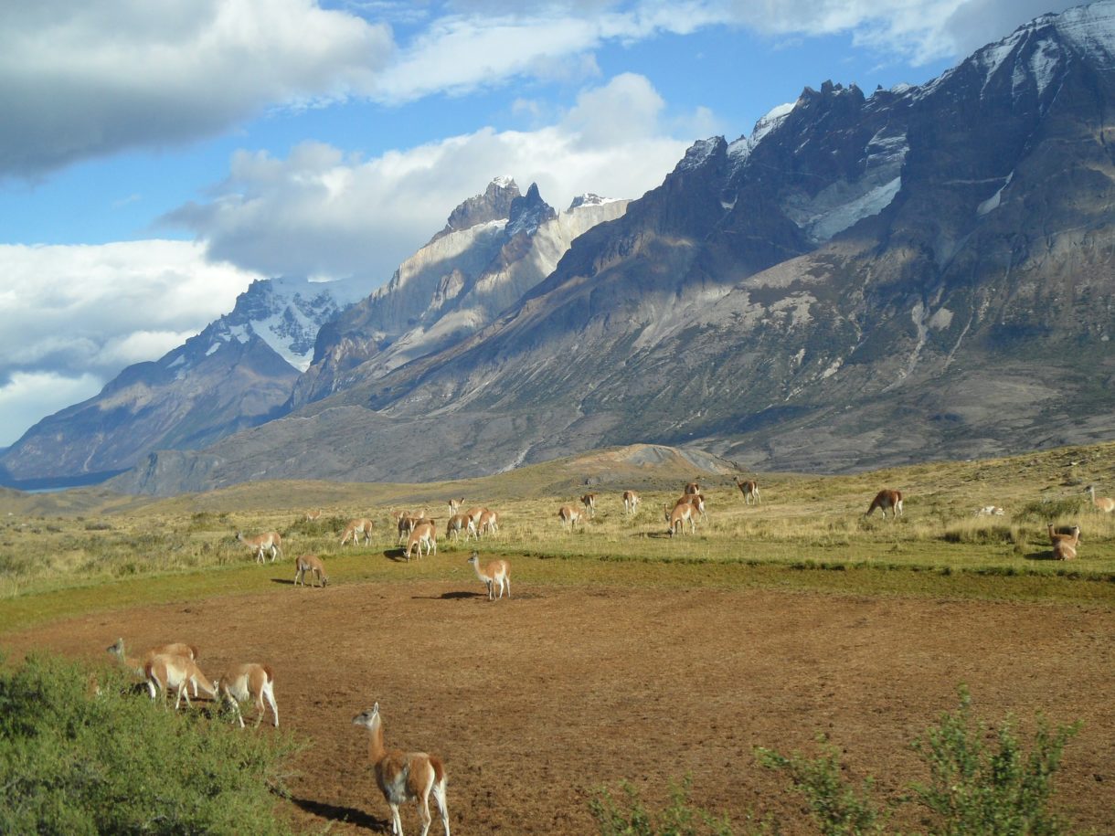 Desiertos interesantes en Latinoamérica