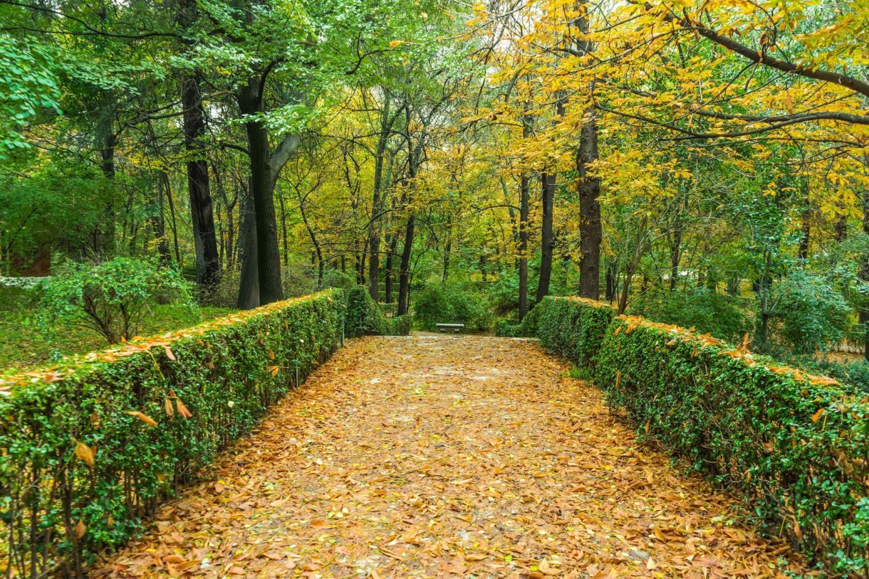 Espacios naturales para disfrutar en la Comunidad de Madrid