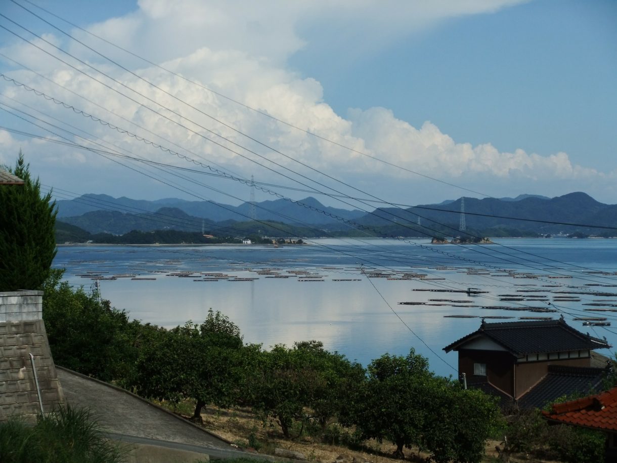 Sitios Patrimonio Mundial Natural Unesco en Japón