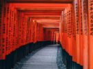 Sitios recomendados para conocer en Kyoto