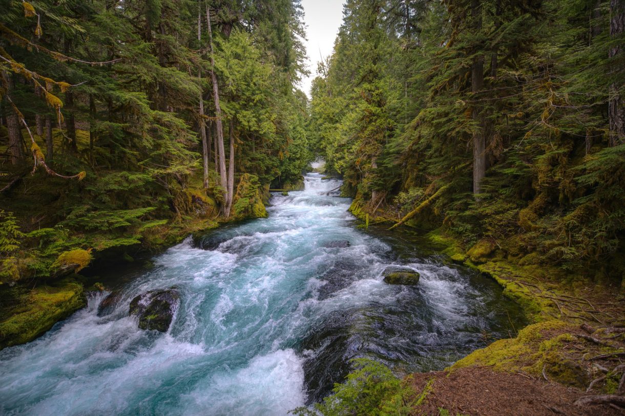 Ecoturismo para disfrutar en el estado de Oregón