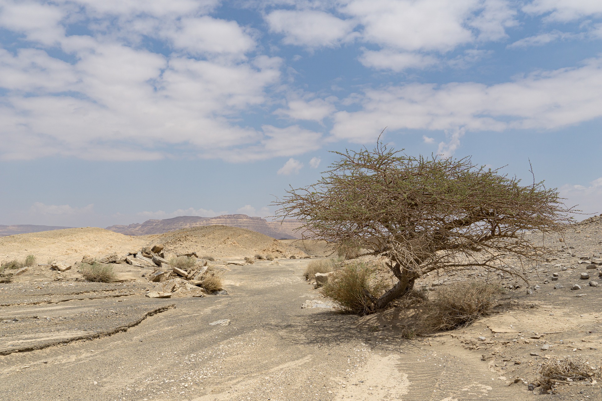 Desierto Negev Turismo