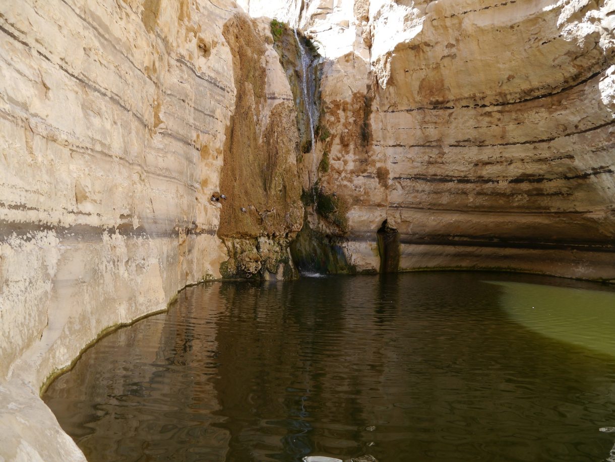 Cinco actividades para descubrir el desierto del Negev